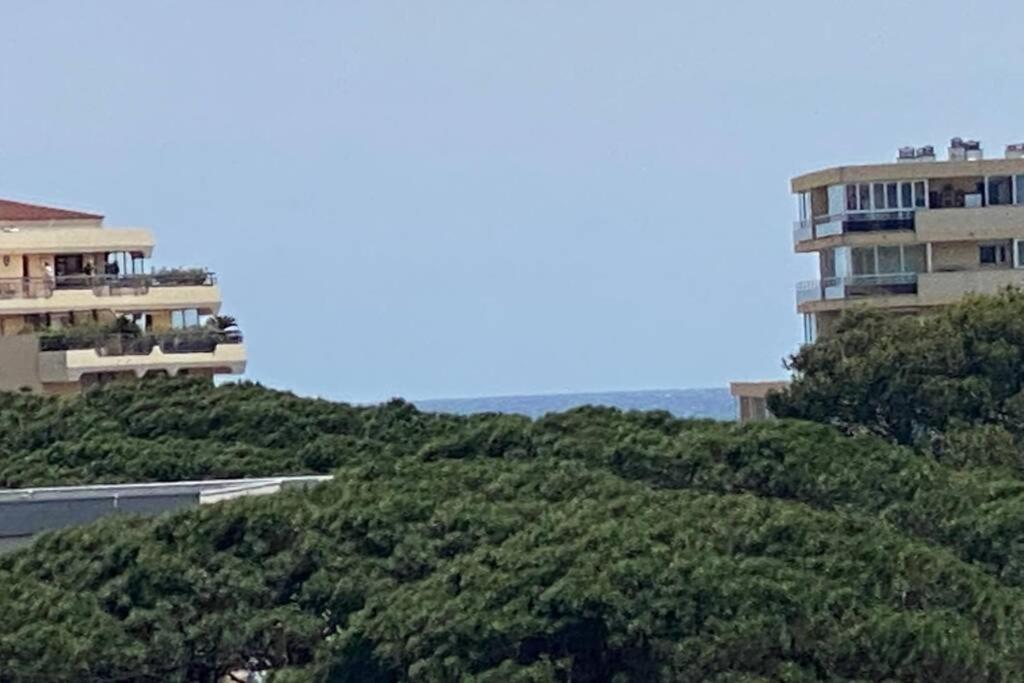 Tres Beau T4 A Frejus Plageアパートメント エクステリア 写真